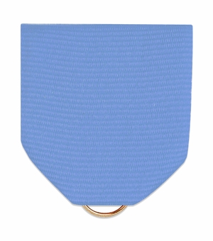 Pin Back Ribbon Light Blue