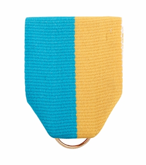 PIN BACK RIBBON LIGHT BLUE/GOLD