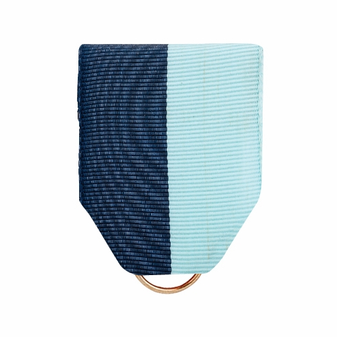 PIN BACK RIBBON NAVY/ BLUE