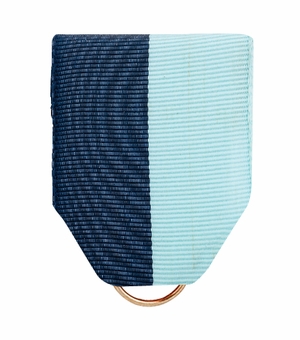 PIN BACK RIBBON NAVY/ BLUE