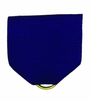 PIN BACK RIBBON, PURPLE