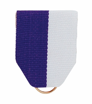 PIN BACK RIBBON PURPLE/ WHITE
