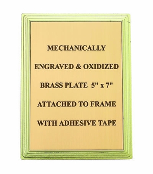 PLASTIC FRAME FOR PLATE