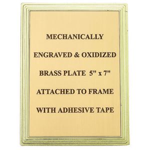 PLASTIC FRAME FOR PLATE