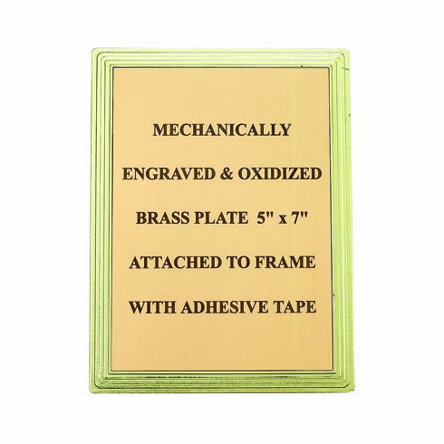 PLASTIC FRAME FOR PLATE