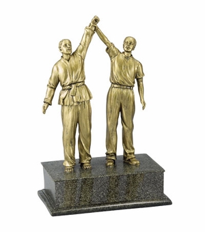 RESIN MARTIAL ARTS TROPHY