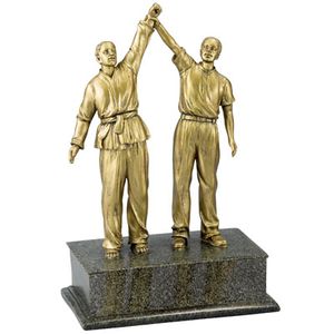 RESIN MARTIAL ARTS TROPHY