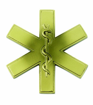 RESIN STAR OF LIFE, 4-1/2