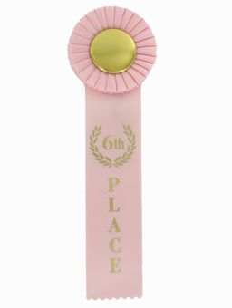 PINK RIBBON, ROSETTE 6TH PLACE 2 INCH  MYLAR