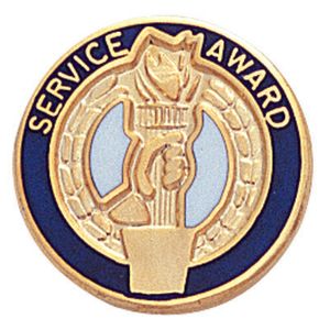 SERVICE AWARD PIN ENAMELED, PIN BACK