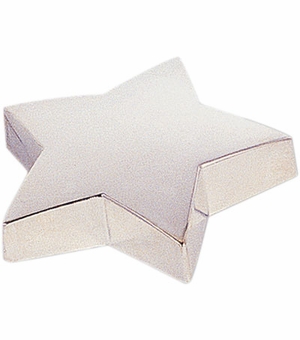 SILVER STAR PAPER WEIGHT
