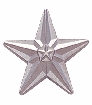 3/4 Inch Polished Die-Struck Silver Star Pin with Sandblasted Finish