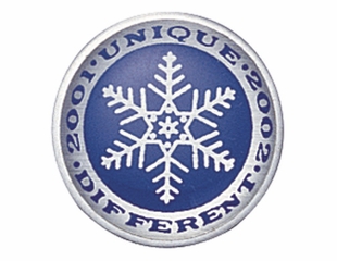 SNOWFLAKE PIN