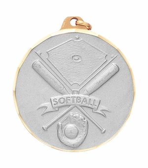 SOFTBALL BATS GLOVE & FIELD