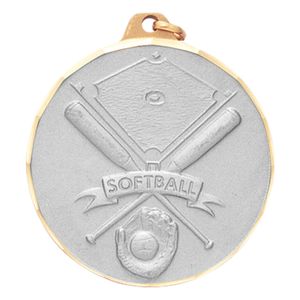 SOFTBALL BATS GLOVE & FIELD