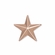 STAR  BRONZE PIN 1/2 INCH