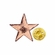 STAR  BRONZE PIN 1/2 INCH