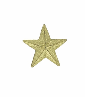 STAR CHENILLE PIN GOLD, LARGE