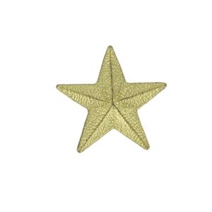 STAR CHENILLE PIN GOLD, LARGE