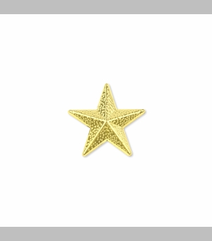 1/2 INCH GOLD STAR CHENILLE PIN 