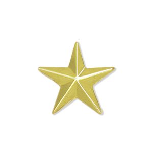 STAR GOLD PIN 1/2 INCH