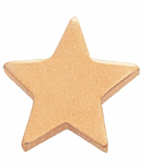 STAR GOLD PIN FLAT 1/2 INCH