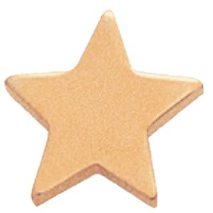 STAR GOLD PIN FLAT 1/2 INCH