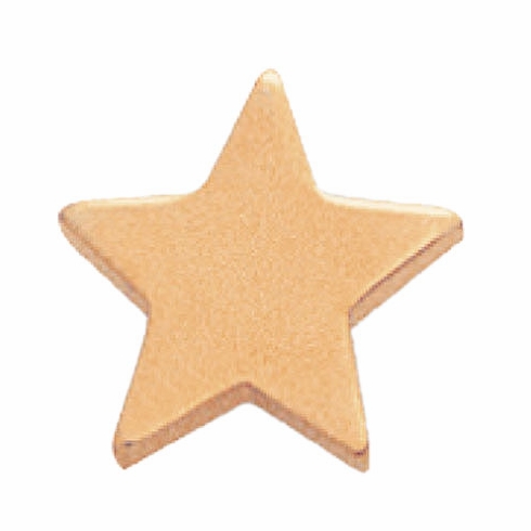 STAR GOLD PIN FLAT 1/2 INCH