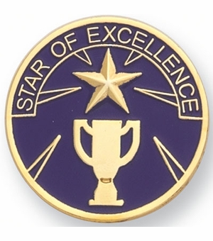 STAR OF EXCELLENCE PIN, 1 INCH