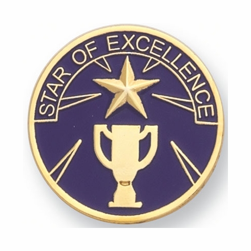 STAR OF EXCELLENCE PIN, 1 INCH