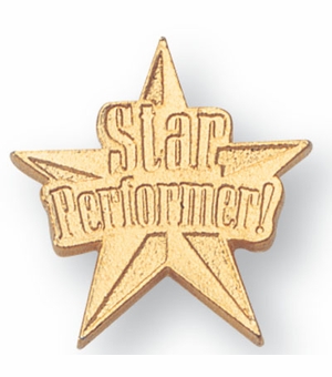 STAR PERFORMER CHENILLE PIN