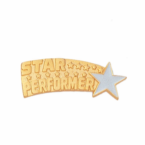 STAR PERFORMER GOLD PIN