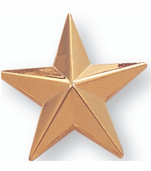 1 Inch in Height Die-Struck Gold Plated Modeled Star Pin