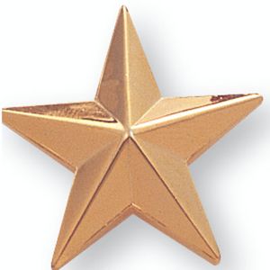 STAR PIN GOLD 1 INCH
