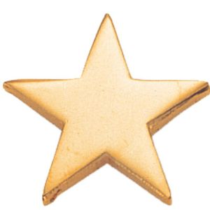 STAR PIN GOLD 3/4 INCH FLAT
