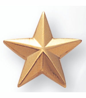 5/8 Inch in Height Die-Struck Gold Plated Modeled Star Pin