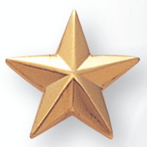 STAR PIN GOLD 5/8 INCH