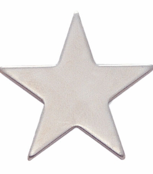 STAR PIN SILVER 3/4 INCH FLAT