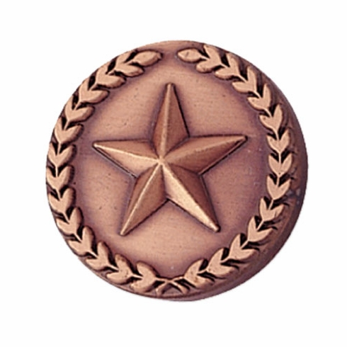 STAR PIN WITH WREATH 7/8 INCH