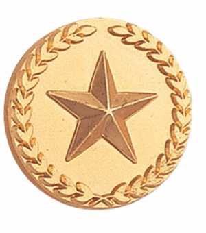 STAR PIN WITH WREATH 7/8 INCH