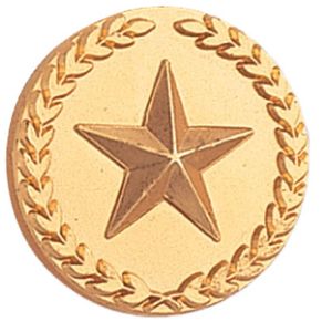 STAR PIN WITH WREATH 7/8 INCH