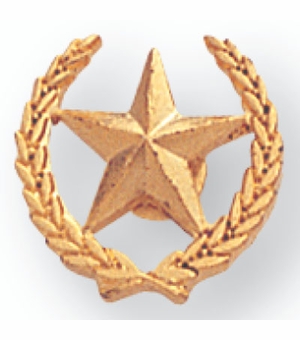 1/2 Inch in Height Die-Struck Modeled Star and Wreath