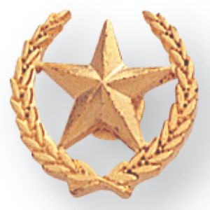 STAR & WREATH PIN 1/2 INCH