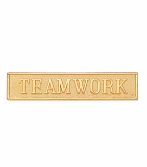 1-3/4 Inch in Height Die-Struck Sandblasted Pin in Gold
