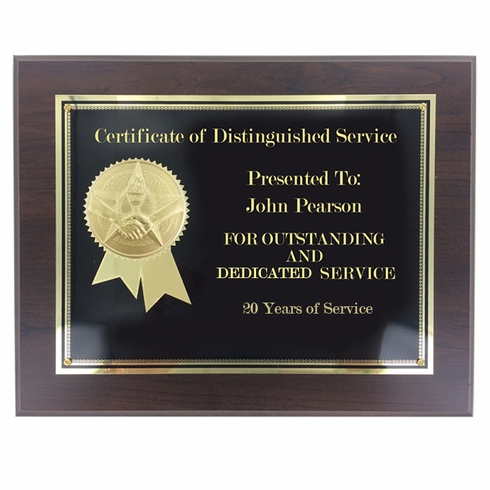 TEST ITEM - DO NOT ORDER!!! - 8" x 10" HANDSHAKE AND STAR PLAQUE 2" STAMPED MEDALLION INSERT