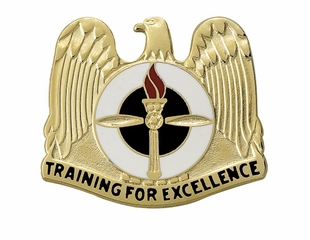 TRAINING FOR EXCELLENCE INSIGNIA