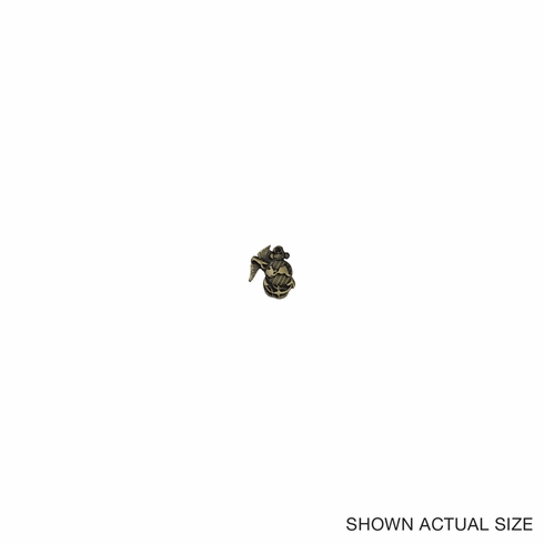 U.S.MARINES ANTIQUE BRASS PIN