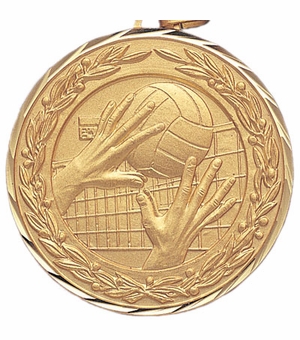 2 Inch Die-Struck Volleyball Themed Medal in Gold or Silver