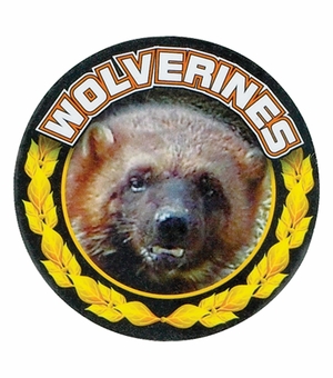 2 Inch in Diameter Round Gold and Mylar 'Wolverines' Insert