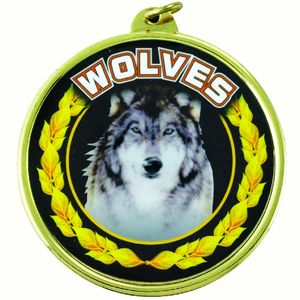 2-1/4 Inch in Diameter Round 'Wolves' Themed Mylar and Gold Sports Medal with Customizable Back